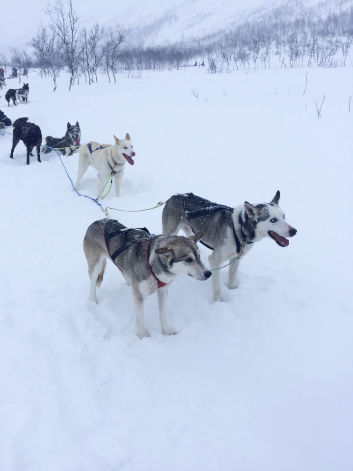 3F13F5C8-488D-4B43-8FBE-A95D0CFA4C91