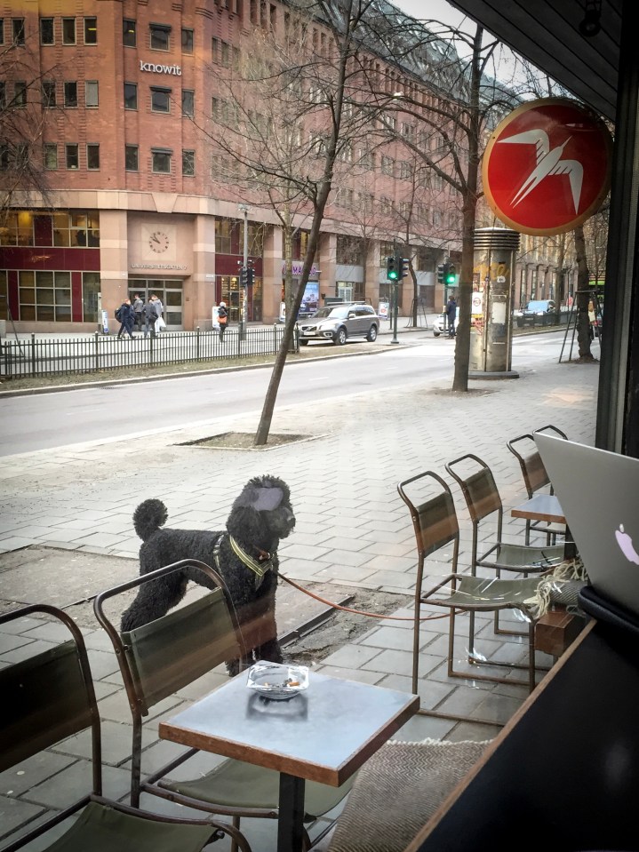 ノルウェー、オスロのこと