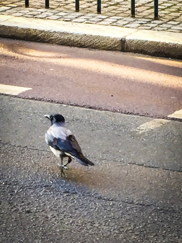 A41D170D-61F9-46F2-9ECF-89BBDDE73D43