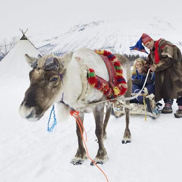 C56BD8B3-F8D3-47B3-805F-E41421C8219D