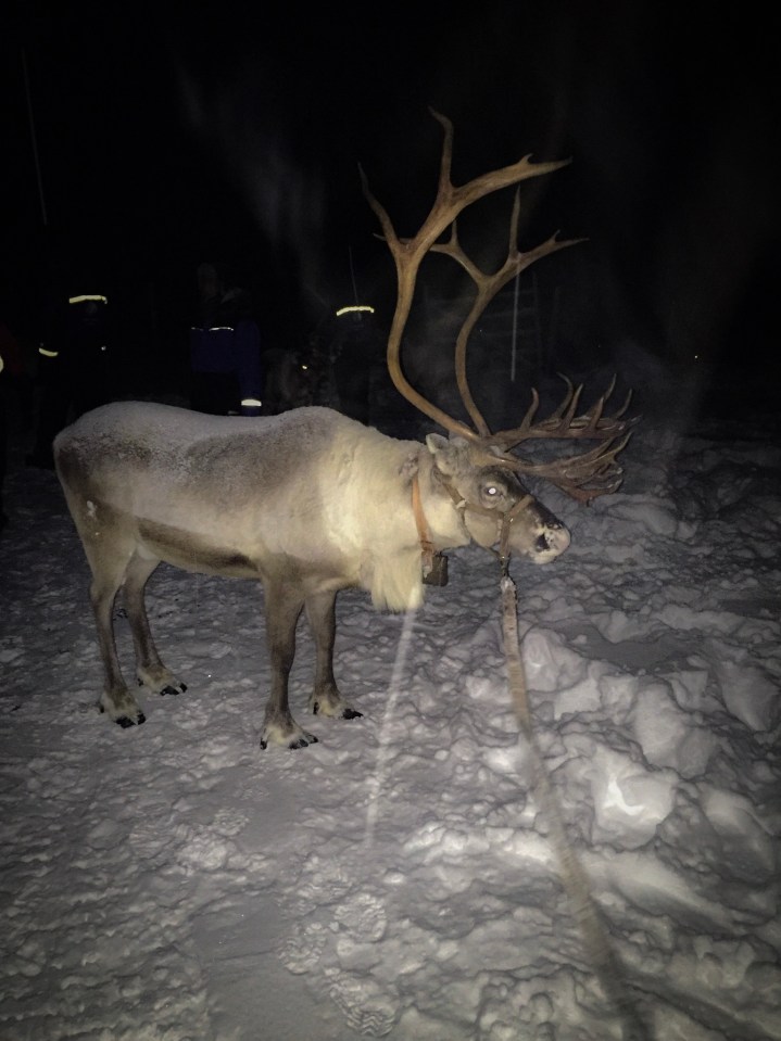 FD8E0F16-361D-4739-B172-30C87CB93B7F