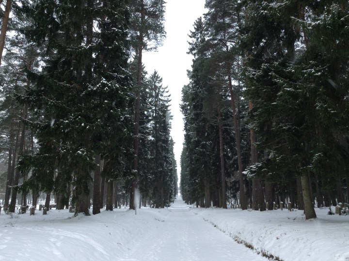 ストックホルムのこと