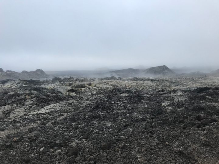 『神経美学』第8章