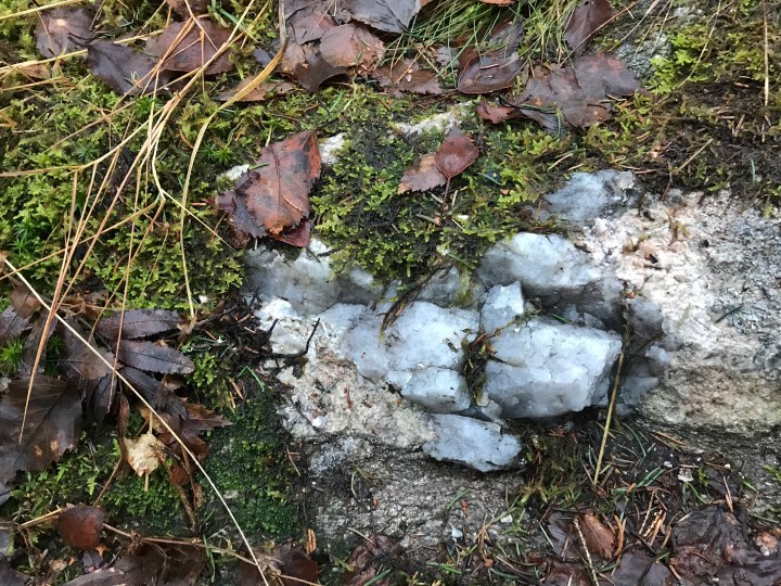 2ACA4193-7C65-4DE9-9B94-9040E69C758D