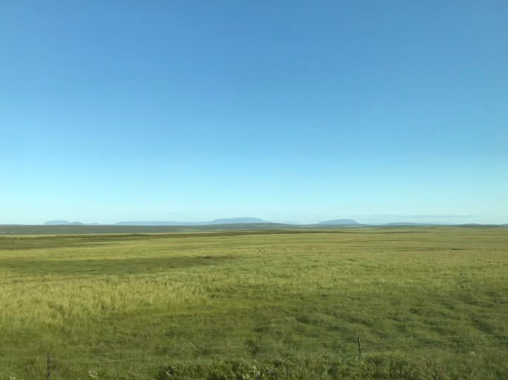 Gallery グリーン